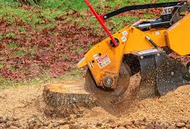 Reliable East Whittier, CA Tree Care Solutions
