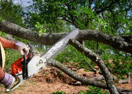 Best Lot and Land Clearing  in East Whittier, CA